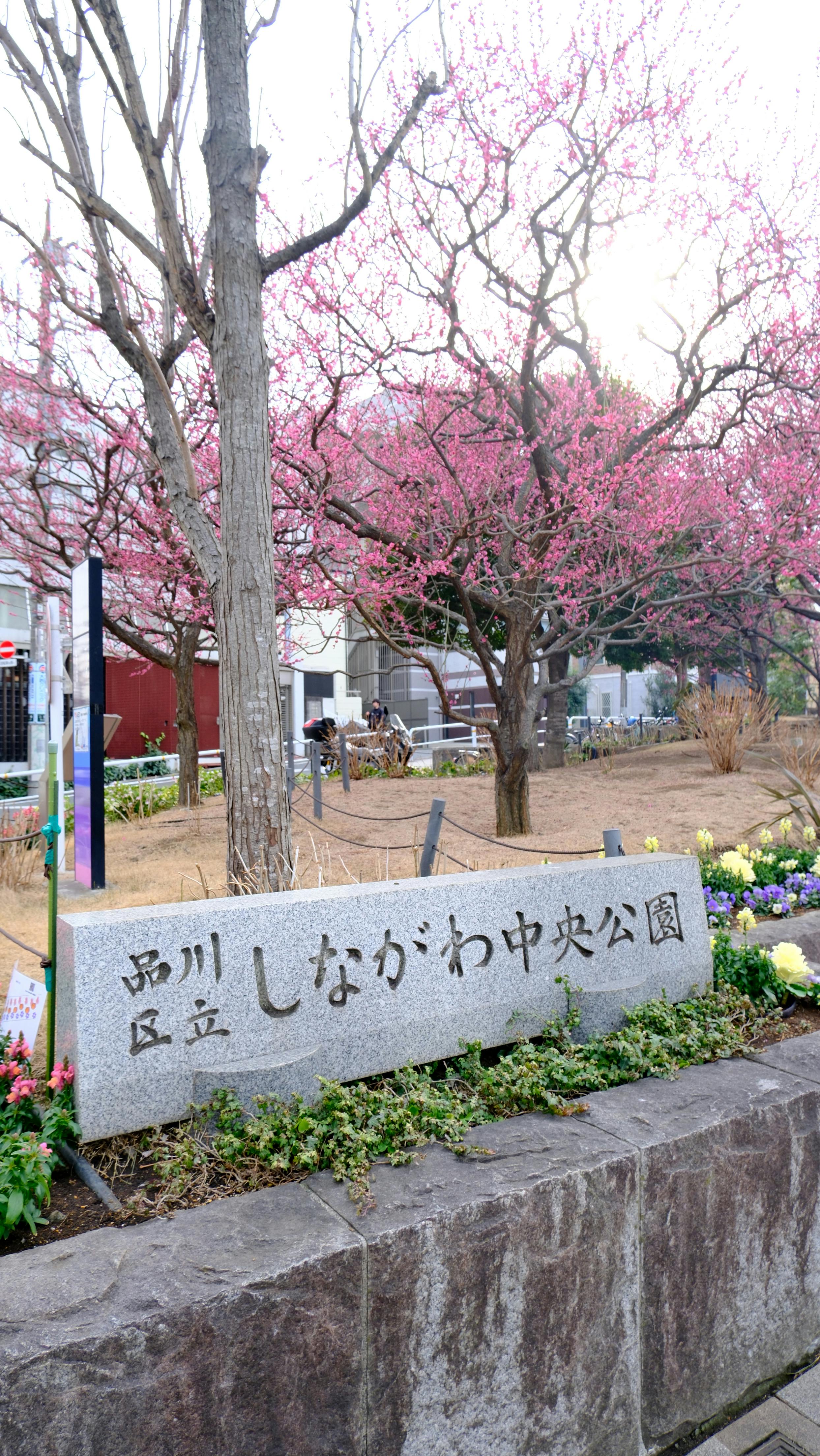 少し足を伸ばして、のんびりリフレッシュ